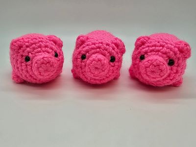 3 Mini Pigs
